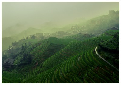 dnqolv-2cad1b4f-3eee-406a-94c0-5498d6f517af.jpg (404.76 Kio) Vu 46394 fois Settou Mura